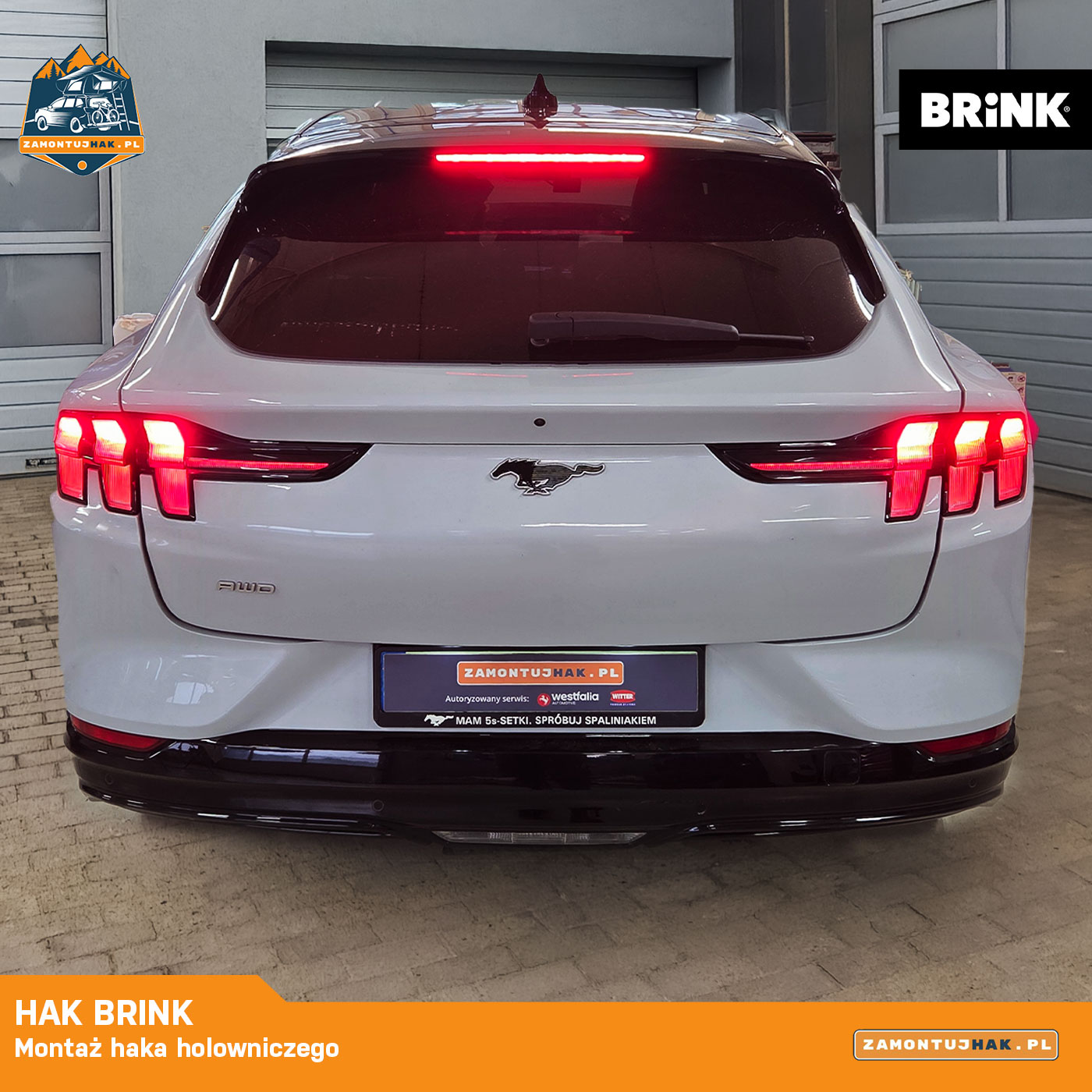 Mustang - hak brink